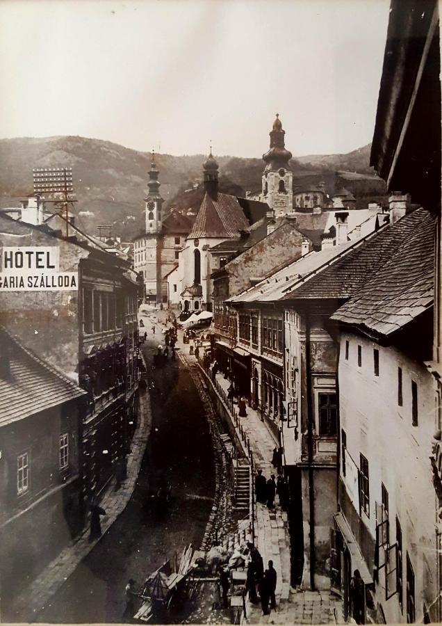Penzion Rozalia Banská Štiavnica Exterior foto